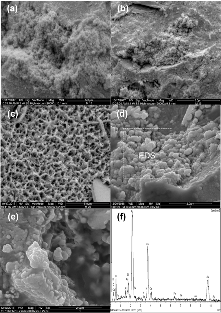 Figure 6. SEM micrographies of mixtures (a) CPV-V + 11 nS, (b) CPV-V + 3.1 nS, (c) CPV-V + 1.7 nS (d) CPV-V + 0.8 nS (e) CPV-V + 0.4 nS, (f) chemical composition by EDS of CPV-V + 0.8 nS.