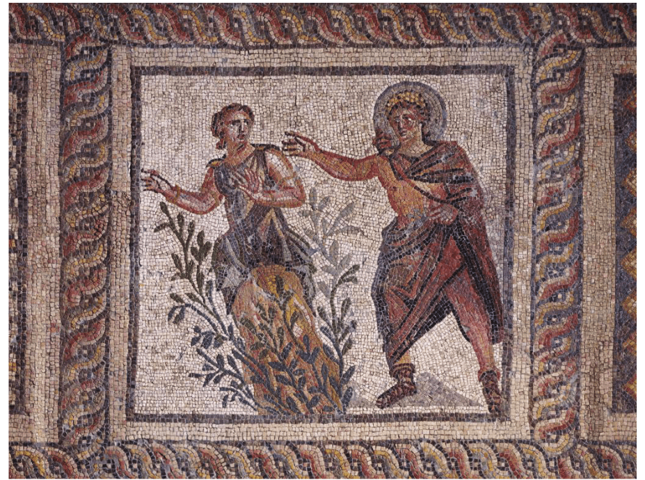 Mosaic of Apollo and Daphne. Opus
tessellatum from the House of Menander (3rd century) in Antioch,
representing the mythological scene of the meeting between Apollo and Daphne,
when the nymph is a turned into a bush.