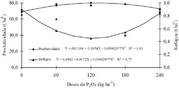 Produtividade comercial e de refugos (n&atilde;o comercial) de bulbos de cultivares de cebola em fun&ccedil;&atilde;o de doses de f&oacute;sforo. Petrolina-PE, 2011.