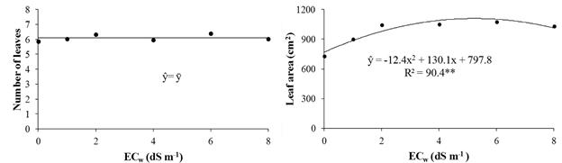 Number of leaves, leaf area in sugar cane plants under different levels of salt. ** Significant regression at 1% of probability.