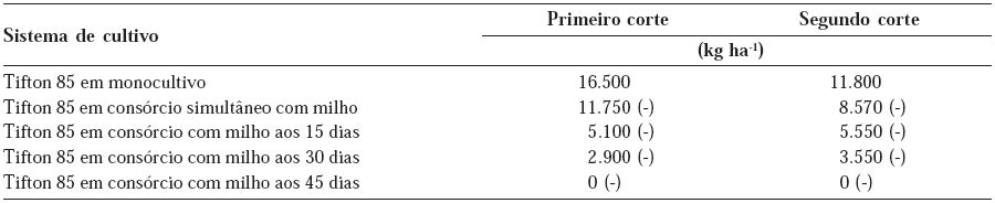 Produtividade de biomassa seca de capim Tifton 85 no primeiro e segundo corte, cultivado em monocultivo, consorciado com milho simultaneamente e, aos 15, 30 e 45 dias após a semeadura do milho