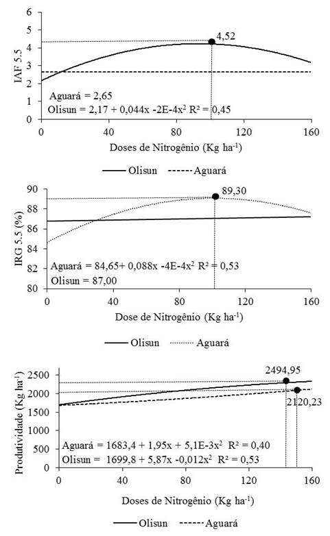 Equações de regressão para interceptação da radiação global (IRG 5.5), índice de área foliar (IAF 5.5) e produtividade de dois cultivares de girassol, em função das doses de nitrogênio, independentemente da fonte nitrogenada utilizada.
