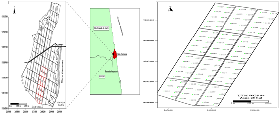 &Aacute;rea da Usina Vale Verde ,com a delimita&ccedil;&atilde;o dos talh&otilde;es estudados (A) e o Grid dos pontos amostrais georreferenciados (B) 