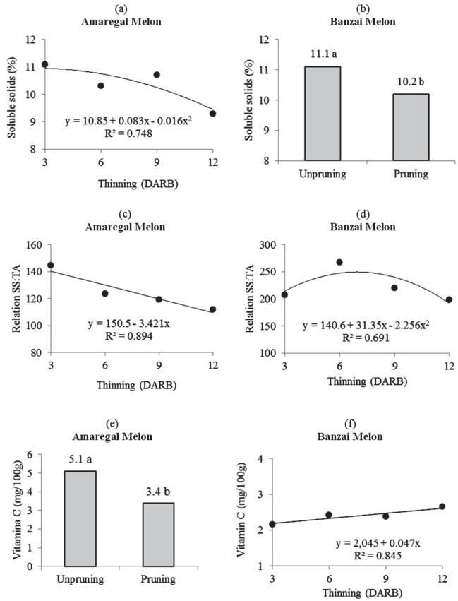 Soluble solids (a, b), ratio SS:TA (c, d) e vitamin C (e, f) of melon in function of pruning of main stem and thinning fruit (DARB - days after removal of the agro-textile blanket). Equal letters do not differ from each other by the t-test (p < 0.05).