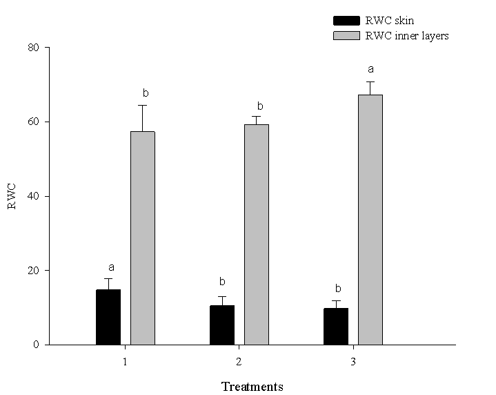 Relative water content (RWC) in the inner layer and skin of Bola Precoce onion bulbs for treatments: T1 - Control; T2 -heated air aeration and T3 - heated and dehydrated air aeration. Vertical bars are the mean standard error. Bars followed by the same letter are not statistically different from each other by the test of Tuckey at 5% of probability. 