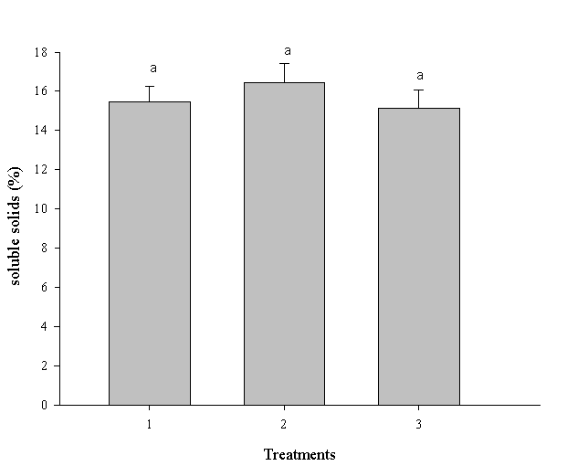 Total soluble solids after Bola Precoce onion bulbs for treatments: T1 - Control; T2 - heated air artificial aeration and T3 -heated and dehydrated air aeration. Vertical bars are the mean standard error. Bars followed by the same letter are not statistically different from each other by the test of Tukey at 5% of probability. 