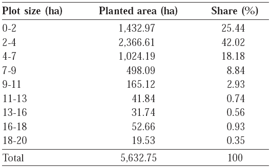 Physical distribution of the size of the plots, planted area, and share in relation to the total area studied