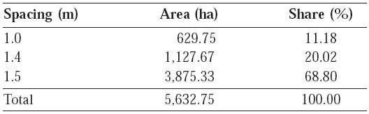 Spacings used between planting lines with their respective areas in hectares and percentage