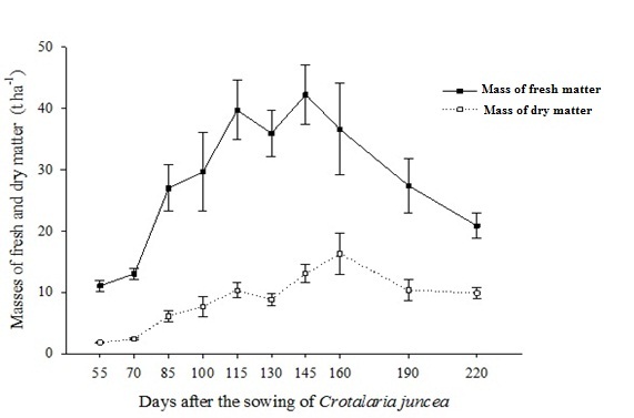 Masses of fresh and dry matter of the sunn hemp (Crotalaria juncea) plants observed at their dates of cutting. 