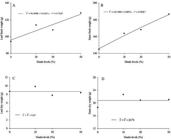 Leaf fresh weight (A), stem fresh weight (B), leaf dry weight (C), and stem dry weight (D) of Talinum triangulare as a function of shade levels.