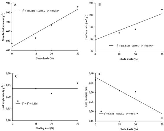 Specific leaf area (A), leaf area ratio (B), leaf weight ratio (C), and root to shoot ratio (D) of Talinum triangulare as a function of shade levels.