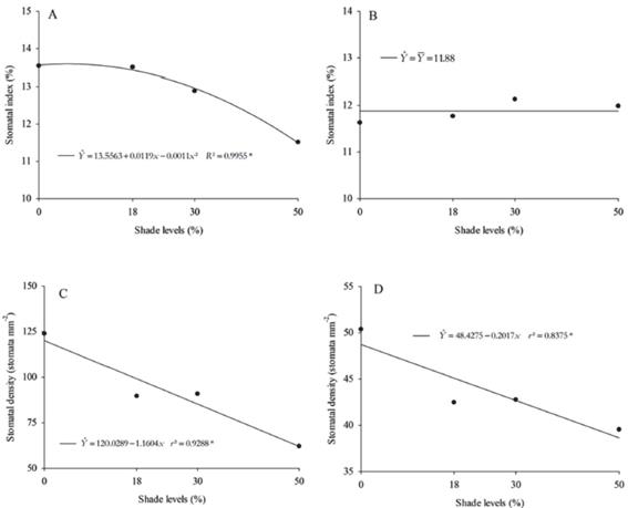 Abaxial surface stomatal index (A) and stomatal density (B) and adaxial surface stomatal index (C) and stomatal density (D) of Talinum triangulare leaves as a function of shade levels.