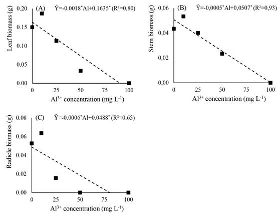 Regressions for leaf biomass (A), stem biomass (B), and radicle biomass (C) of yacon plantlets subjected to different concentrations of aluminum in sand substrate, in controlled environment.