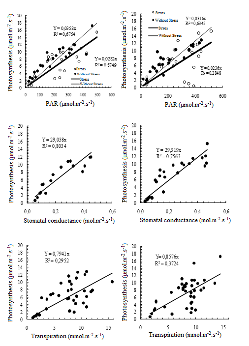 Relationship between net photosynthetic rate, photosynthetic photon flux density, stomatal conductance, and transpiration in passion fruit plants propagated by seed (left column) and propagated by grafting (right column) grown in two substrate water regimes (field capacity and drought stress). 