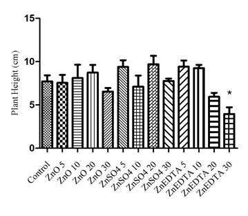 Average of plant foliage with different sources and doses of zinc on the 34th day after planting. 