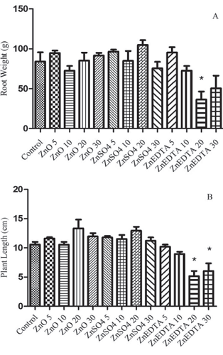 Root weight in natura (A) and root length (B) with different sources and doses of zinc. 