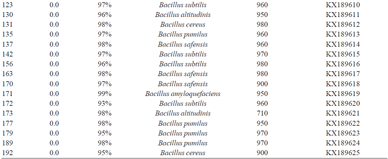 Identification of the endophytic bacteria of &lsquo;Prata An&atilde;&rsquo; banana roots based on the identity of the partial sequence of the 16S rDNA gene