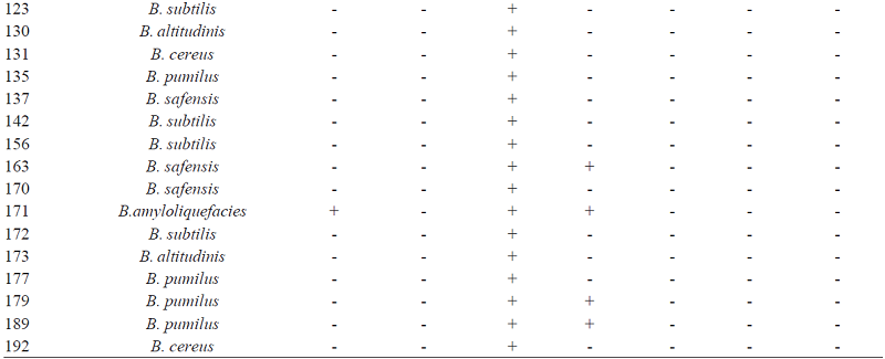 Biochemical tests for nitrogen fixation with film formation in NFb semi-solid medium, acetylene reduction, nitrate test and urease activity, and DNA amplification results of bacterial isolates to verify the presence of the nifH, nirS and nirK gene regions in 39 isolates of endophytic bacteria isolated from banana roots