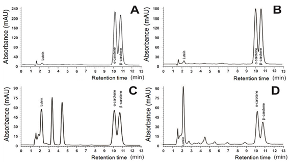 Chromatographic profiles of the lutein, α-carotene and β-carotene carotenoids extracted from ‘Terrinha’ plantain. (A) unripe pulp (B) ripe pulp (C) unripe peel and (D) ripe peel. The chromatographic conditions are described in Materials and Methods.
