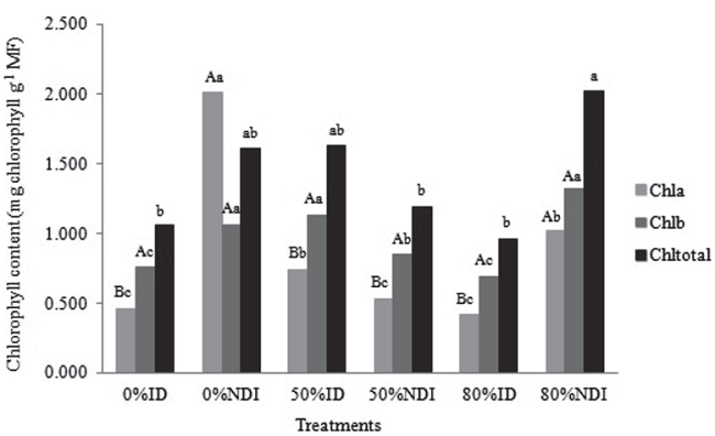 Content of chlorophyll a, b, and total of Lonchocarpus cultratus at 30 days after emergence (DAE) under 0% shade and daily irrigation (0% ID), 0% shade and non-daily irrigation (0% NDI), 50% shade mesh and daily irrigation (50% ID), 80% shade mesh and daily irrigation (80% ID), and 80% shade mesh and non-daily irrigation (80% NDI).