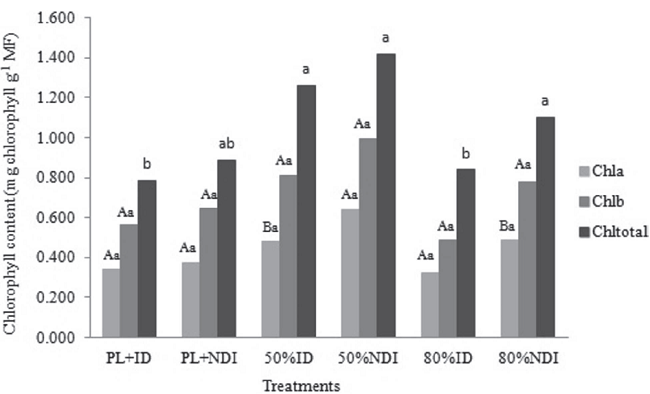 Content of chlorophyll a, b, and total of Lonchocarpus cultratus at 60 days after emergence (DAE) under 0% shade and daily irrigation (0% ID), 0% shade and non-daily irrigation (0% NDI ), 50% shade mesh and daily irrigation (50% ID), 80% shade mesh and daily irrigation (80% ID), and 80% shade mesh and non-daily irrigation (80% NDI).