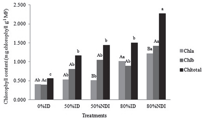 Content of chlorophyll a, b, and total of Lonchocarpus cultratus at 90 days after emergence (DAE) under 0% shade and daily irrigation (0% ID), 50% shade mesh and daily irrigation (50% ID), 80% shade mesh and daily irrigation (80% ID), and 80% shade mesh and non-daily irrigation (80% NDI).