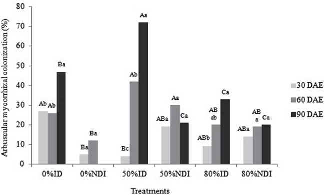 Percentage of arbuscular mycorrhizal colonization in roots of Lonchocarpus cultratus under the different treatments. 