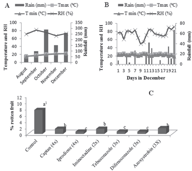 Rainfall, relative humidity (RH) and temperature recorded at the weather station in Santiago, RS (A and B) (Crop 2014). Incidence of brown rot at harvest, after treatments preharvest with fungicides in peaches cv. Eldorado (C). 1 Means followed by equal letters belong to the same group by Scott-Knott test (p < 0.05).