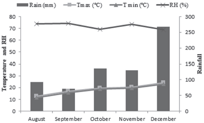 Rainfall, relative humidity (RH) and temperature, recorded at the weather station in Santiago, RS, Brazil (crop 2015).