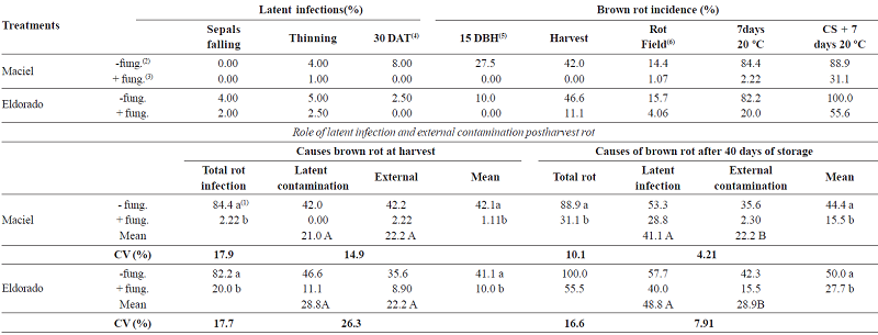 Monitoring of latent infections Monilinia fructicola in five sampling dates, brown rot in the field and over postharvest and the role of latent infection and external contamination in postharvest rot incidence. Santa Maria, RS, Brazil (crop 2015)