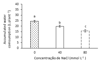 Accumulated water consumption (L.plant-1) of basil, at different concentrations of NaCl, from six to 30 days after transplanting. The bars indicate the standard error of the averages. Means with the same letter do not differ, at the 5% probability level by the Tukey test.