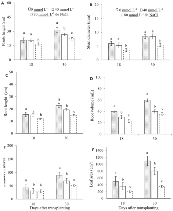Plant height (A), stem diameter (B), root length (C), root volume (D), leaf number (E) and leaf area (F) of basil, under different concentrations of NaCl (0, 40 and 80 mmol L-1) at 18 to 30 days after transplanting. The bars indicate the standard error of the averages. Means followed by the same letter do not differ, at the 5% probability level by the Tukey test.