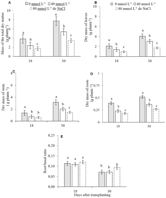 Mass of the total dry matter (a), leaves (b), stems (c), roots (d) and root / basal ratio of basil (e) under different NaCl concentrations (0, 40 and 80 mmol L-1) at 18 to 30 days after transplanting. The bars indicate the standard error of the averages. Means followed by the same letter do not differ, at the 5% probability level by the Tukey test.