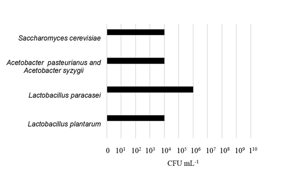 Microbial identification of Brazilian kefir grains by Maldi-Tof MS technique. 