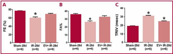 Valores de fracci&oacute;n de eyecci&oacute;n (FE%) (panel A), de fracci&oacute;n de acortamiento (FA%) (panel B) y de tiempo de relajaci&oacute;n isovolum&eacute;trica (TRIV) (panel C) en los grupos con 28 d&iacute;as de reperfusi&oacute;n. IR: isquemia y reperfusi&oacute;n, EV: estimulaci&oacute;n vagal, d: d&iacute;as. (*p < 0,05 vs. Sham-28d).
