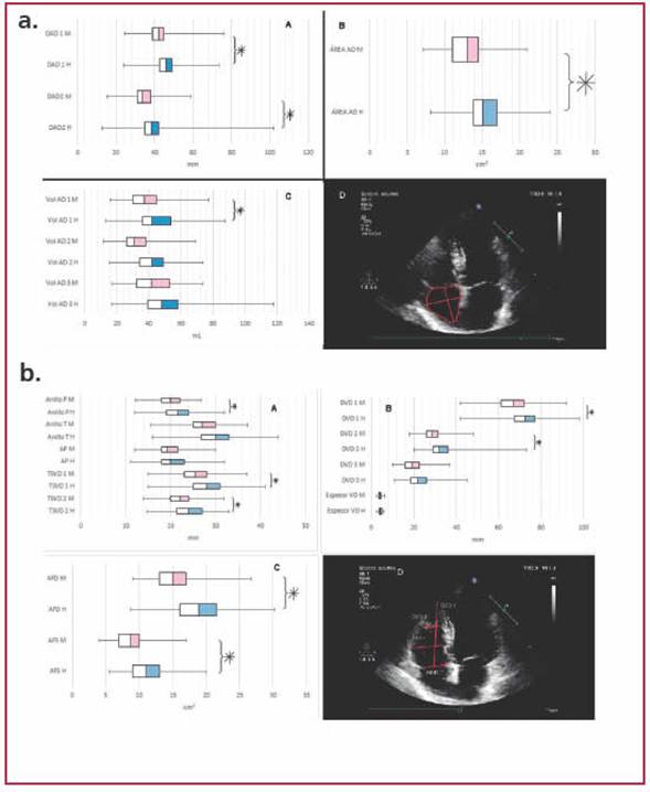 de fin de diástole; AFS: área de fin de sístole; Ani llo P: anillo pulmonar; Anillo T: anillo tricuspídeo; AP: arteria pulmonar; DVD1: diámetro del ventrículo derecho 1 (lon gitudinal); DVD2: diámetro del ventrículo derecho 2 (basal); DVD3: diámetro del ventrículo derecho 3 (1/3 medio-apical); espesor VD: espesor del ven trículo derecho desde la vista subxifoidea; TSVD1: tracto de salida del ventrículo derecho 1; TSVD2: tracto de salida del ventrículo derecho 2. H: hom bre; M: mujer.