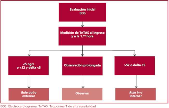 Estructura del algoritmo de la Sociedad Europea de Cardiolog&iacute;a con troponina T de alta sensibilidad.