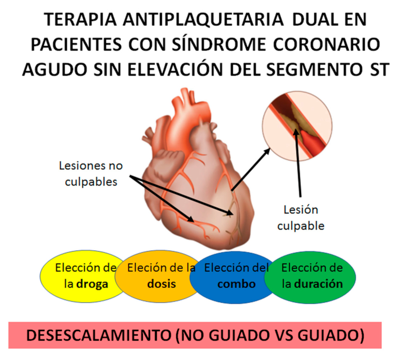 Enfoque moderno al la terapia antiplaquetaria dual para los s&iacute;ndromes coronarios agudos sin elevaci&oacute;n del segmento ST.