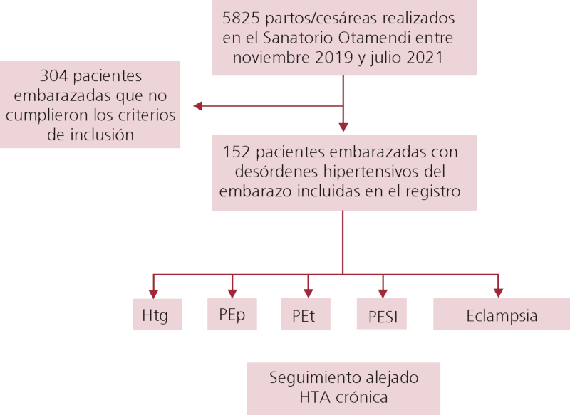 Dise&ntilde;o del registro