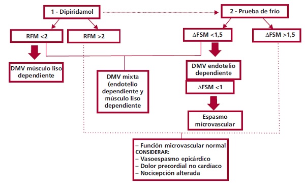 Algoritmo diagn&oacute;stico propuesto para la evaluaci&oacute;n no invasiva de la funci&oacute;n microvascular en pacientes con INOCA