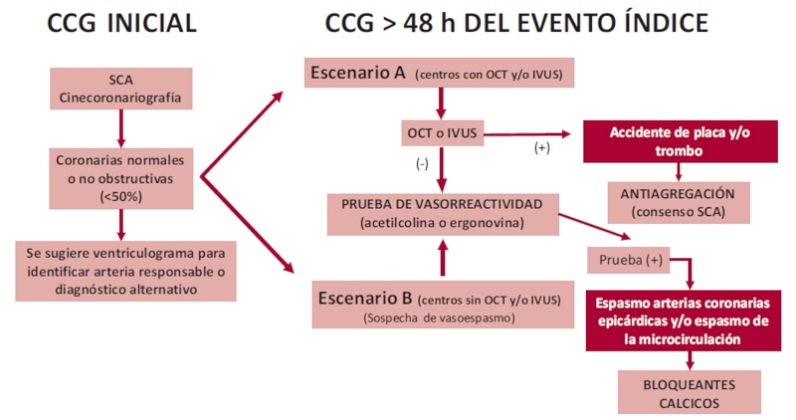 Diagn&oacute;stico de la causa de MINOCA de acuerdo a las posibilidades del centro