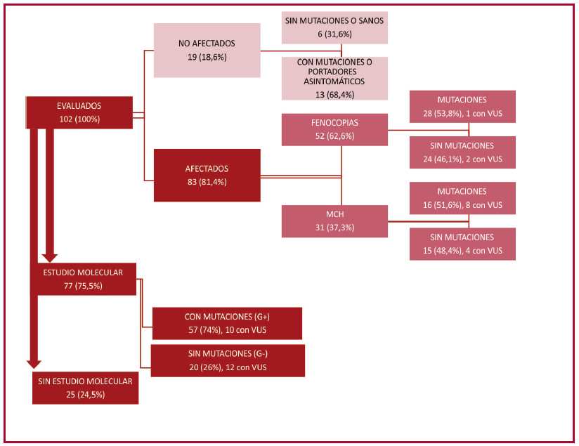hipertr&oacute;fica VUS: variantes de significado incierto 
