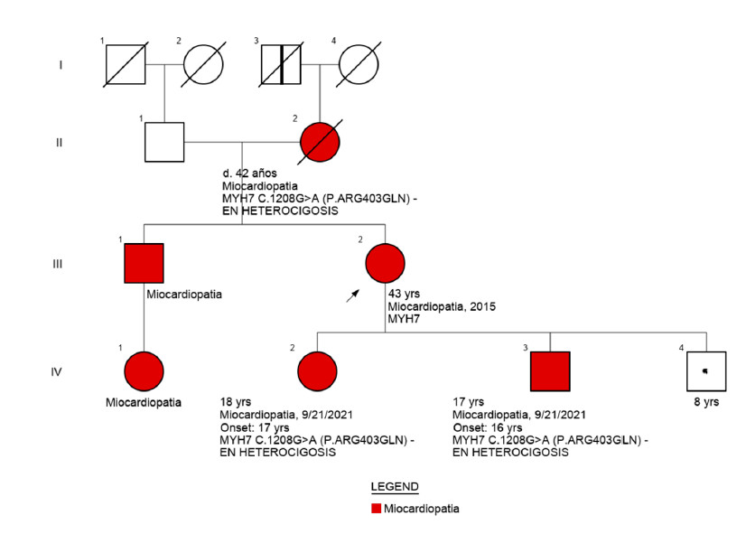 Ejemplos de casos clinicos: