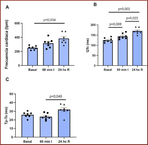 electrocardiogr&aacute;ficos evaluados en condiciones basales antes de la isquemia, al final de la misma y al final de la reperfusi&oacute;n. A. A las 24 horas de reperfusi&oacute;n, se evidencia un aumento en la frecuencia card&iacute;aca en comparaci&oacute;n con el estado basal y los 60 minutos de isquemia. B. Se observa una prolongaci&oacute;n del intervalo QTc (Bazzet) a los 60 minutos de isquemia y a las 24 horas de reperfusi&oacute;n cerebral. C. No se registran diferencias en el intervalo Tp-Te en la isquemia, pero s&iacute; al final de la reperfusi&oacute;n. Isq: isquemia; RP: reperfusi&oacute;n; Tp-Te: pico de la onda T - final de la onda T. n=7.