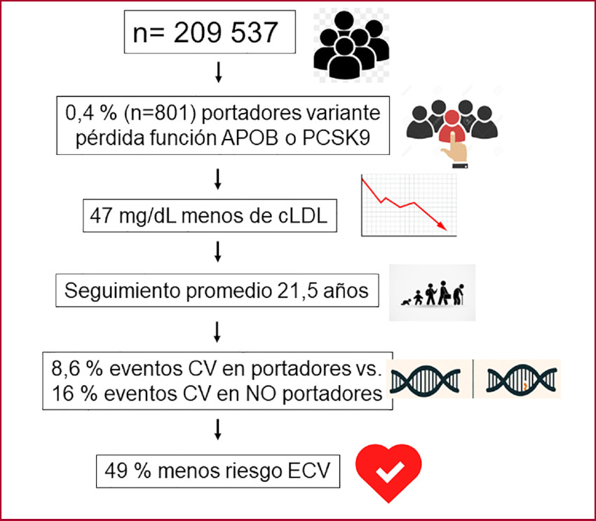 Impacto pron&oacute;stico de una variante gen&eacute;tica asociada a disminuci&oacute;n de cLDL 