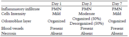 Results of histological analyses of
the rat first molar dental pulp 1, 3, and 7 days after indirect pulp capping.
The cavities were prepared and immediately restored with glassionomer
cement.