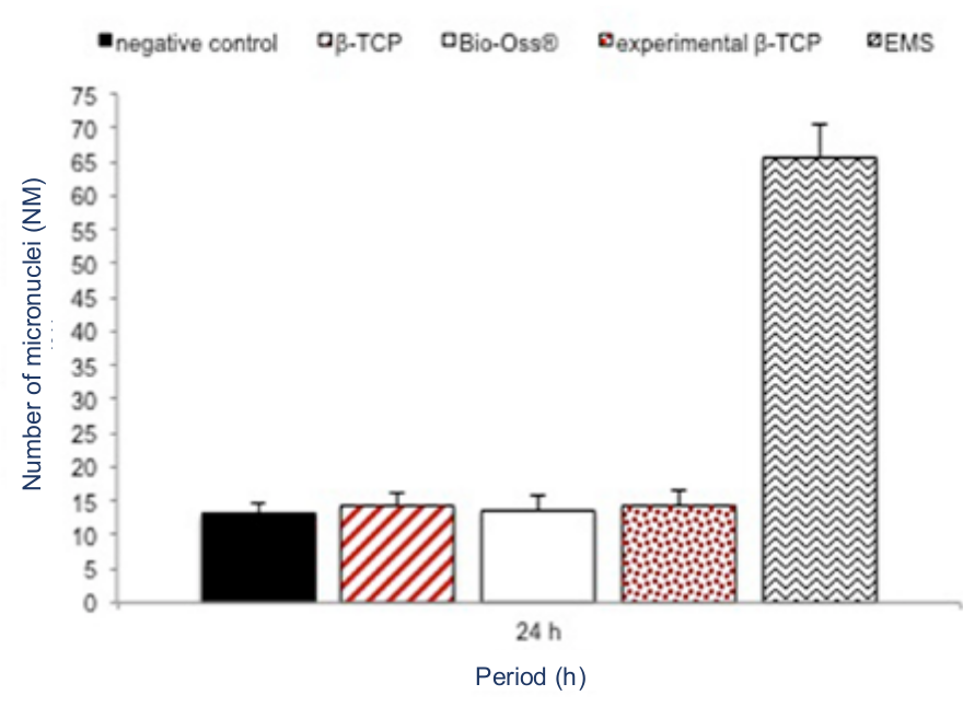 Figure
2. Graph showing the mean micronuclei number of the
bone substitutes, negative control, and positive control (EMS) after 24 hours.