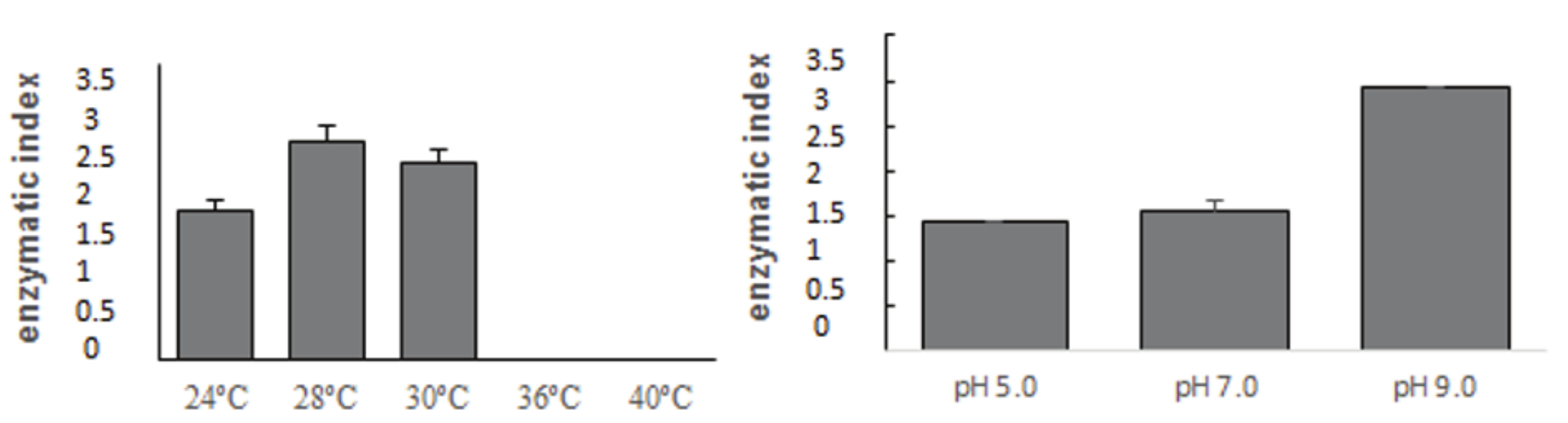 Evaluation of the proteolytic
activity of the BF-20 strain in milk agar at different incubation temperatures
and different pHs. The assay at different pH was performed
at 28°C, and the assay varying the temperature was carried out at  
pH 5.0. 

 