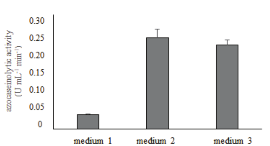 Proteolytic activity, using azocasein as
substrate, in different culture media. 50 mM citrate buffer, pH 5.0 + 0.1%
yeast extract + 1% casein (Medium 1); 50 mM citrate buffer, pH 5.0 + 0.1% yeast
extract + 1% skim milk (Medium 2); Vogel medium + 1% casein (Medium 3). The
fermentations were carried out in 96 hours, at 180 rpm, at 28ºC. 

 