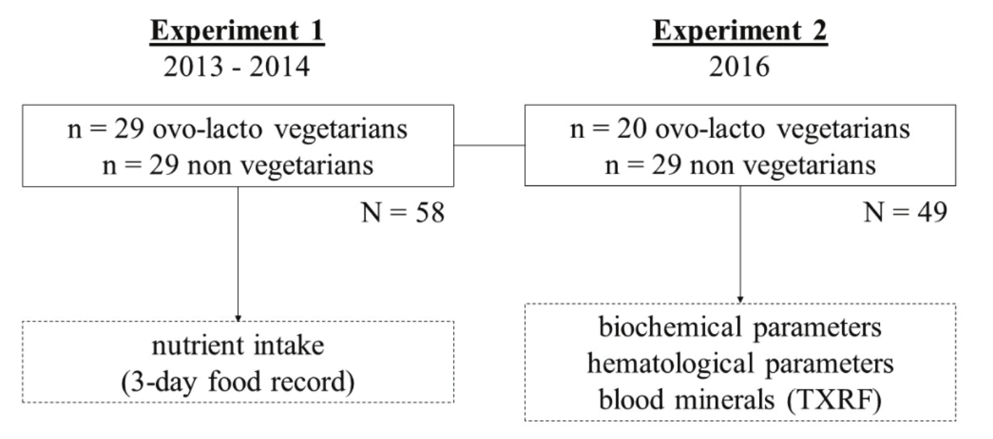 Recruitment steps of ovo-lacto-vegetarian and non-vegetarian university
students, and analysis performed. 

 